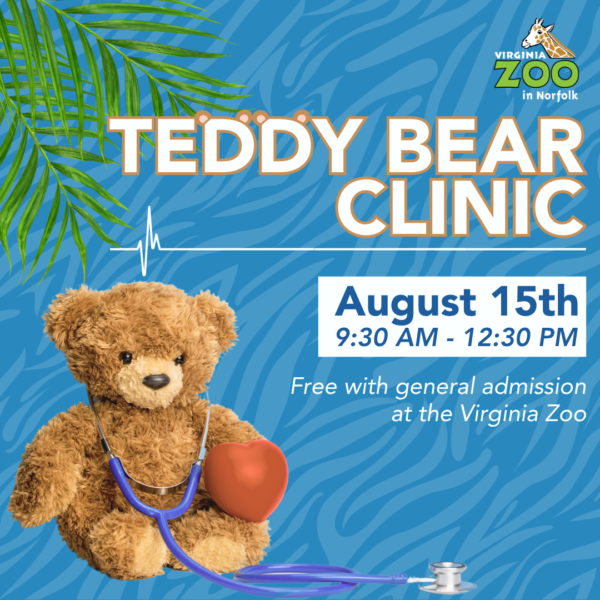 event flyer for teddy bear clinic with a small teddy bear wearing a stethoscope